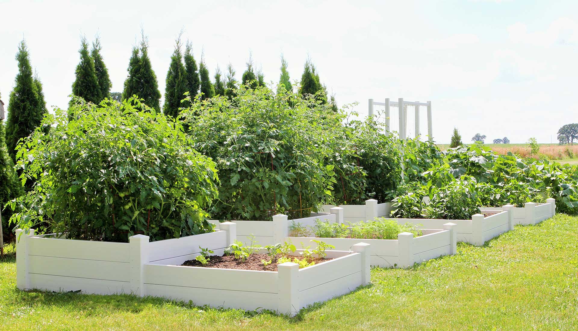 4' x 8' Split Level Planter Bed / Sand Box