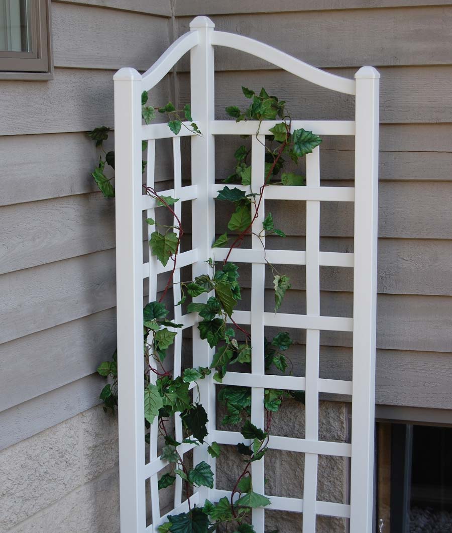 Oxford Trellis