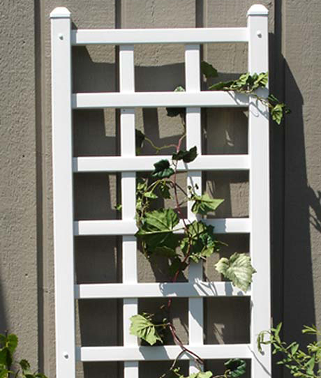 Providence-Trellis-gallery-Thumb.jpg Providence Trellis
